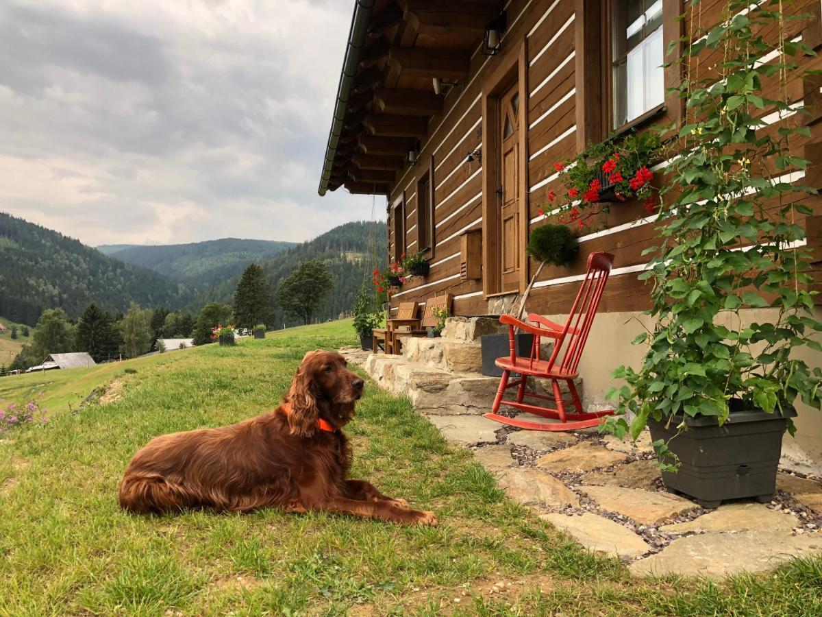 Apartman U Setra Pec pod Sněžkou Exteriér fotografie